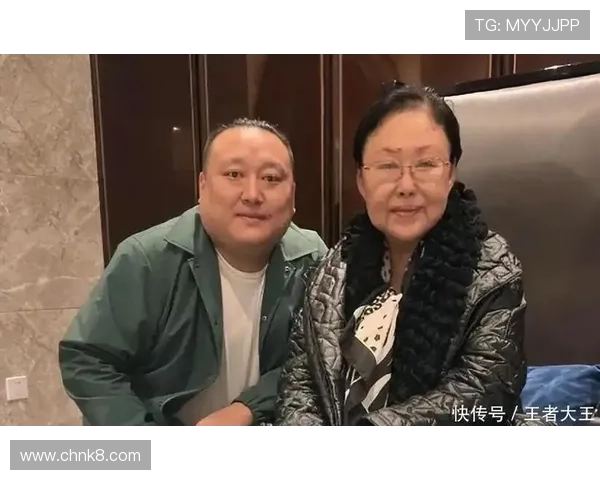 凯发官网下载官网官方平台介绍，详细解析官网功能与使用流程指南