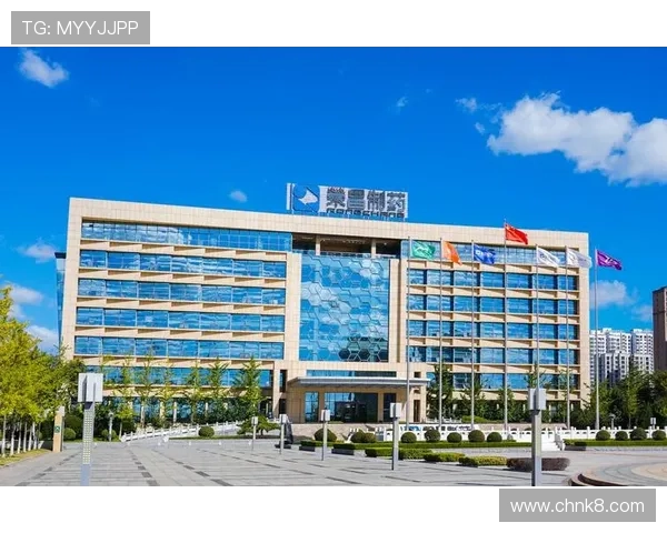 凯发平台K8网页版全面优化安全性能,打造最可信赖的在线娱乐平台 凯发平台K8网页版全面优化安全性能,打造最可信赖的在线娱乐平台