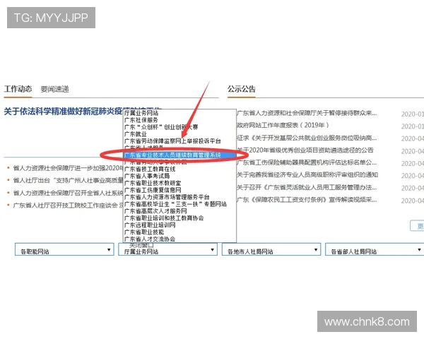 凯发体育官方入口全面介绍安全登录流程与常见问题解决方案助你轻松进入游戏