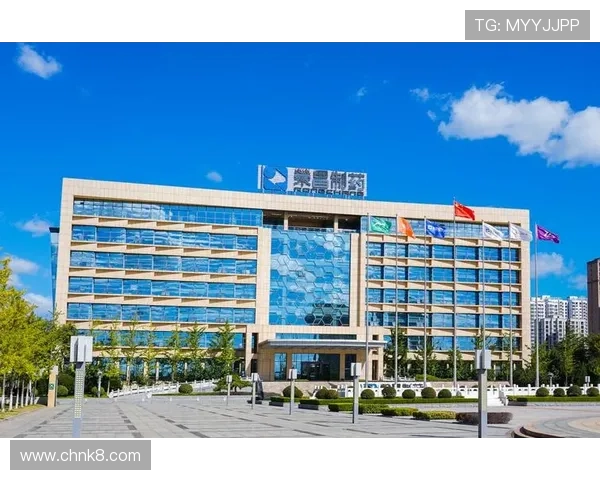 凯发k873娱乐客户服务与技术支持全方位介绍，确保玩家问题及时解决